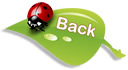 ladybug.back.use